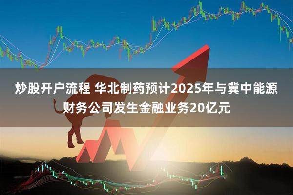 炒股开户流程 华北制药预计2025年与冀中能源财务公司发生金融业务20亿元