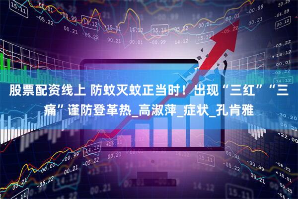 股票配资线上 防蚊灭蚊正当时！出现“三红”“三痛”谨防登革热_高淑萍_症状_孔肯雅